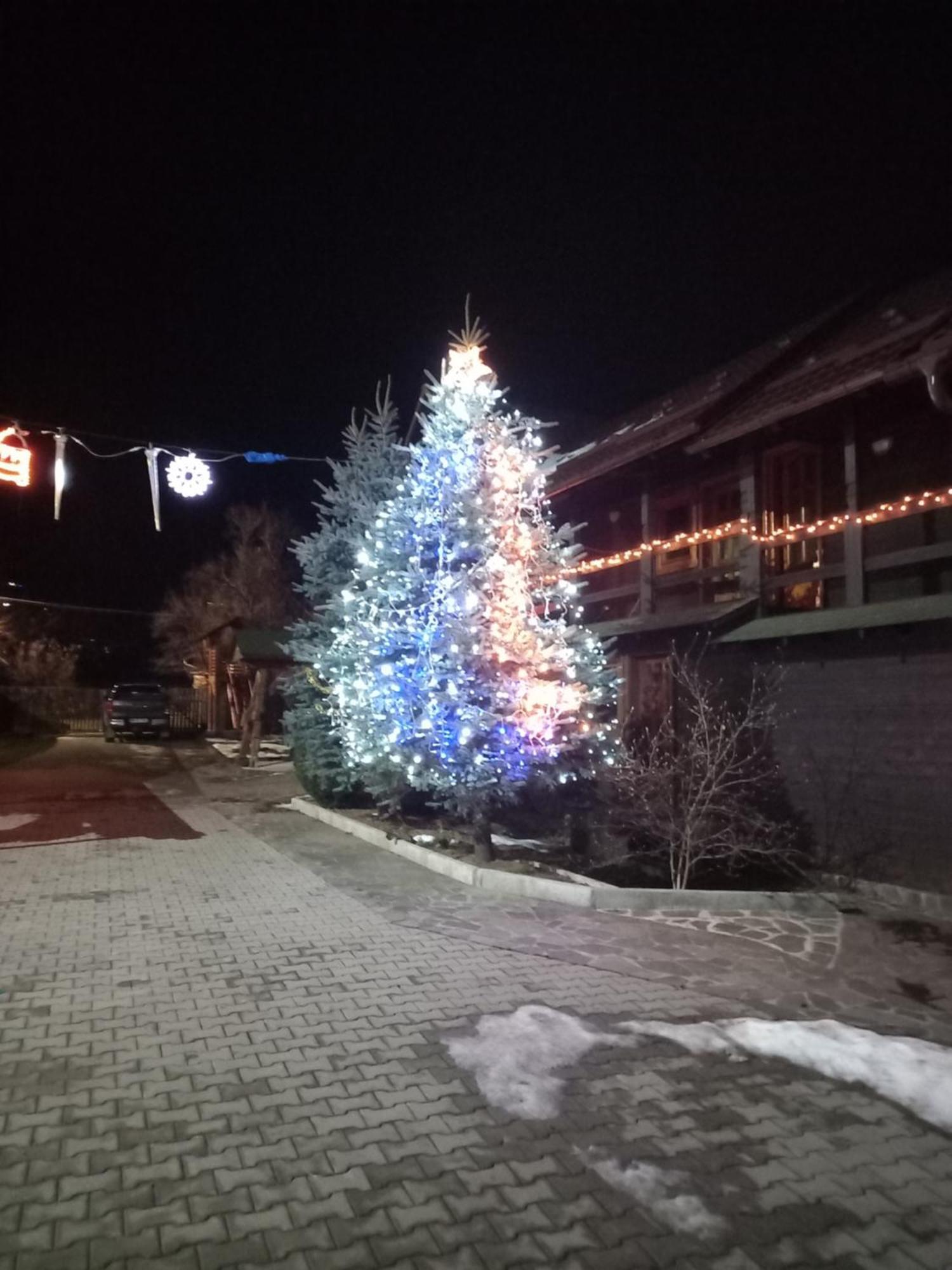 Pensiunea Poiana Borşa Extérieur photo